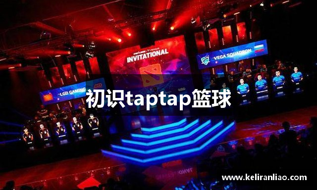初识taptap篮球